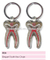 porte-clés dent élégant / accessoires dentaires / produits culturels dentaires / accessoires dentaires oraux