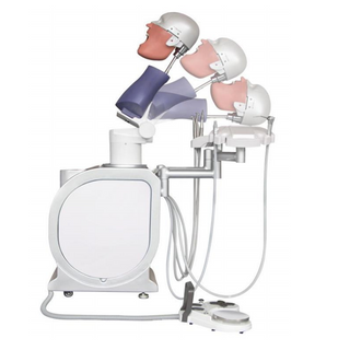 Système de formation et de pratique en simulation dentaire