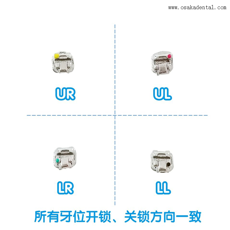 Support orthodontique d'auto-ligature passive dentaire