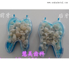 Dents de résine dentaire Temps temporaire des couronnes policarbonates OSA-F311-2