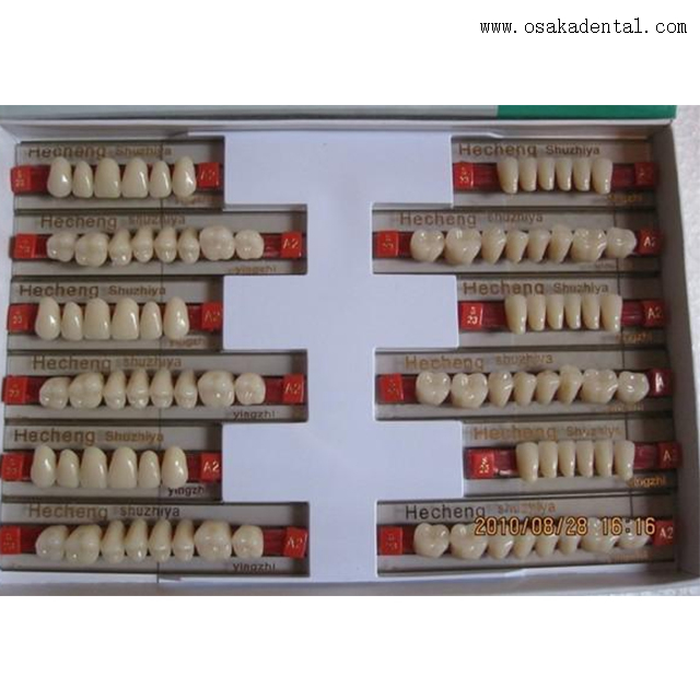 Dents aryliques de résine dentaire OSA-A-dents3