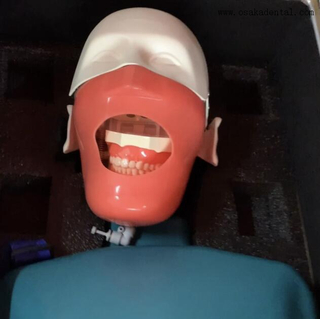 Mannequin de pratique de simulation dentaire avec torse pour enseigner à l'étudiant